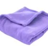 Couverture Microfibre Microlon Lilas Doux Nid -TODAY || Disney || Fisher Price Soldes couverture microfibre microlon lilas doux nid 3120760047934 57045
