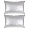 Jeu De Coussin 2 Pcs PU 40 X 60 Cm Argenté -TODAY || Disney || Fisher Price Soldes jeu de coussin 2 pcs pu 40 x 60 cm argente 3666722456951 769336