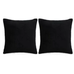 Jeu De Coussin 2 Pcs Velours 45 X 45 Cm Noir