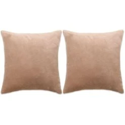 Jeu De Coussin 2 Pcs Velours 60 X 60 Cm Beige