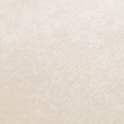 Jeu De Coussin 2 Pcs Velours 60 X 60 Cm Blanc Cassé -TODAY || Disney || Fisher Price Soldes jeu de coussin 2 pcs velours 60 x 60 cm blanc casse 3666722478861 716047