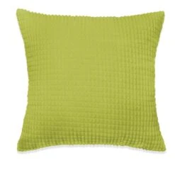 Jeu De Coussin 2 Pcs Velours 60 X 60 Cm Vert -TODAY || Disney || Fisher Price Soldes jeu de coussin 2 pcs velours 60 x 60 cm vert 3666722456975 769329