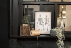 Lanterne Métal Antique Marron Fiona D 17 Cm -TODAY || Disney || Fisher Price Soldes lanterne metal antique marron fiona d 17 cm 5400924172442 1326353